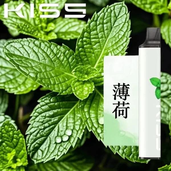 KIS5拋棄式電子煙-薄荷-600x600.jpg